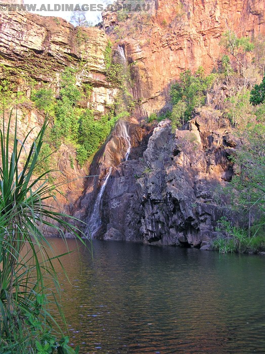 502x677 pixels (312K)